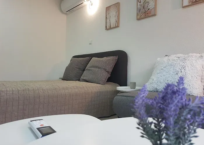 Apartment Plesa