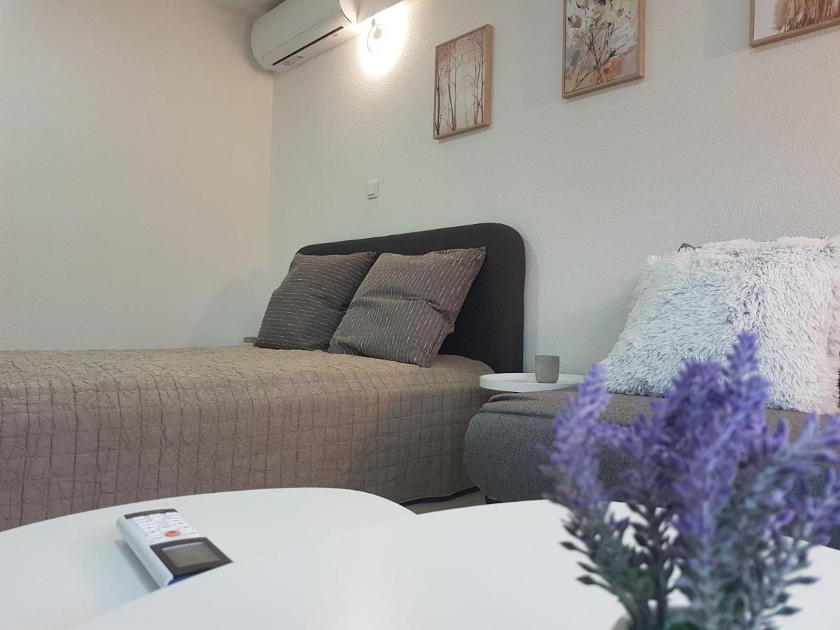 Plesa Apartment *